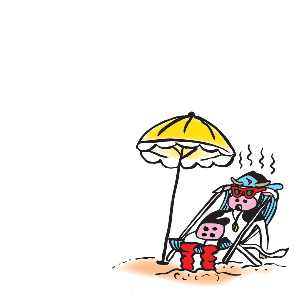 Spread: Hot Socks relaxes on a beach chair under a yellow umbrella.